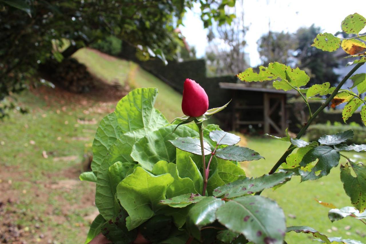Casa Aconchegante No Capivari Campos do Jordao Dış mekan fotoğraf